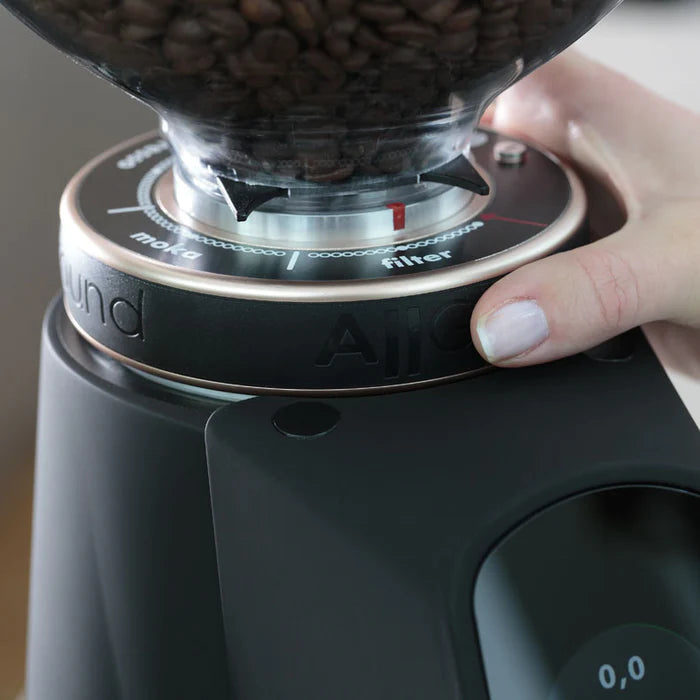 Fiorenzato AllGround All Purpose Home Coffee Grinder