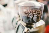 Baratza Forte AP